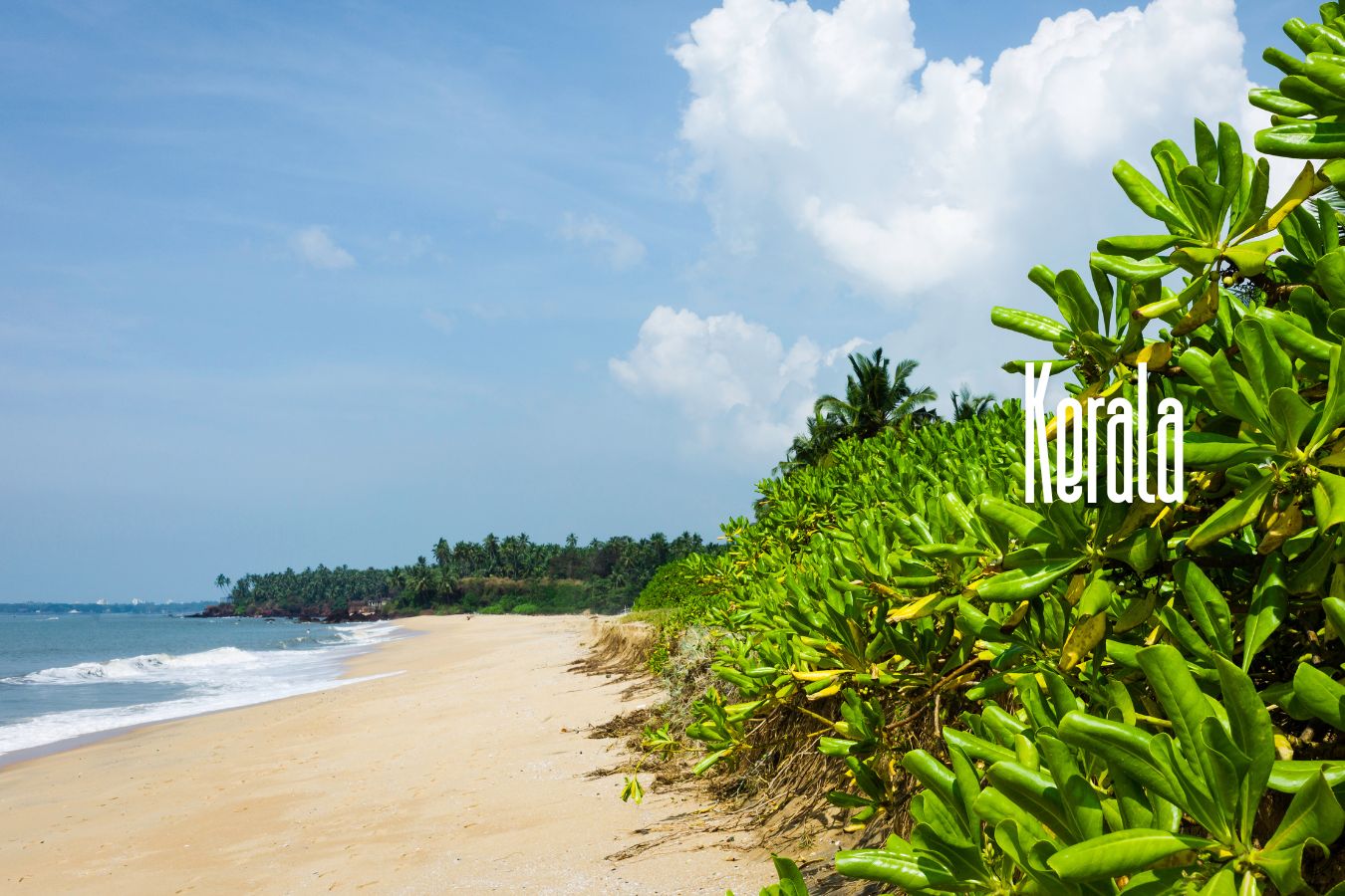 Kannur