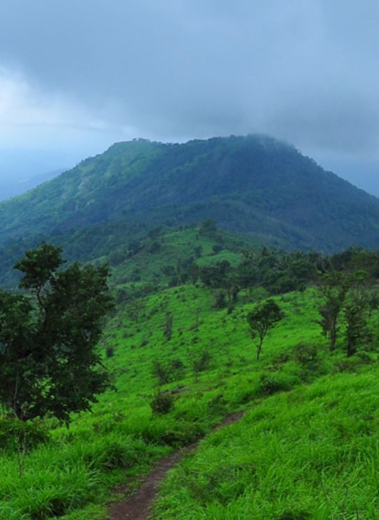 Malappuram