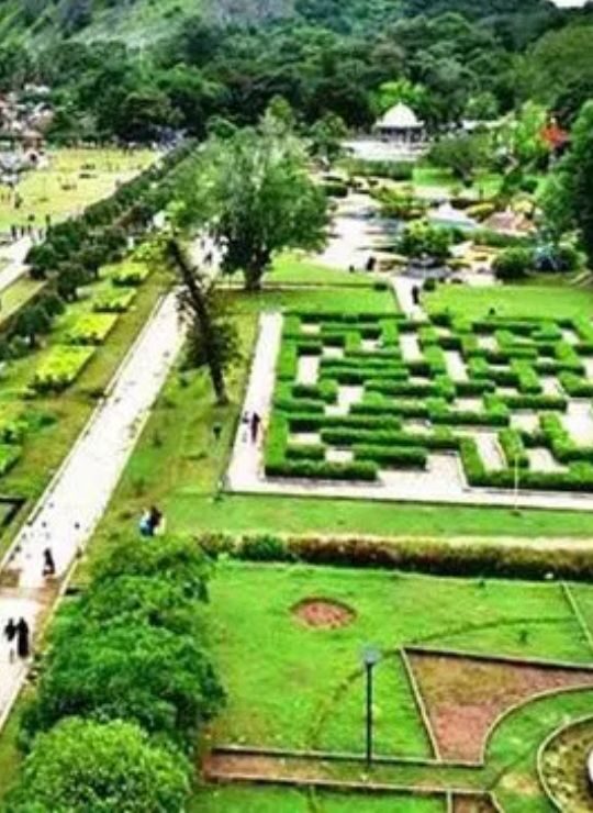 Palakkad