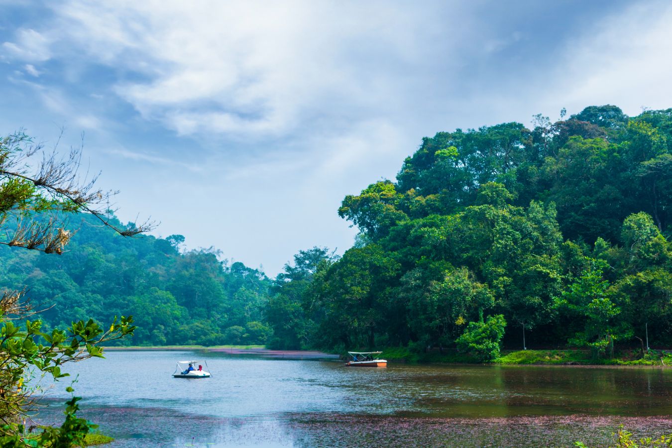 Wayanad