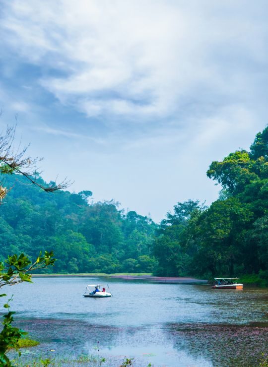 Wayanad