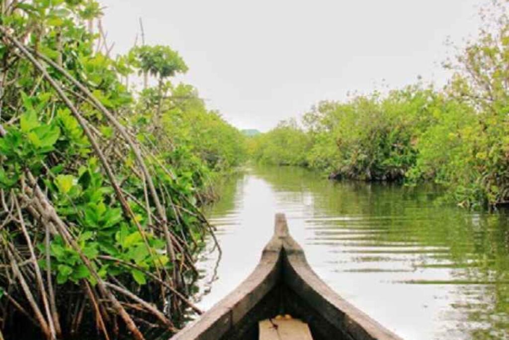 10 Best Places to Visit in Kollam