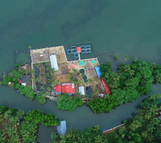 Marshoo Island Homestay in Mundrothuruthu, Kollam
