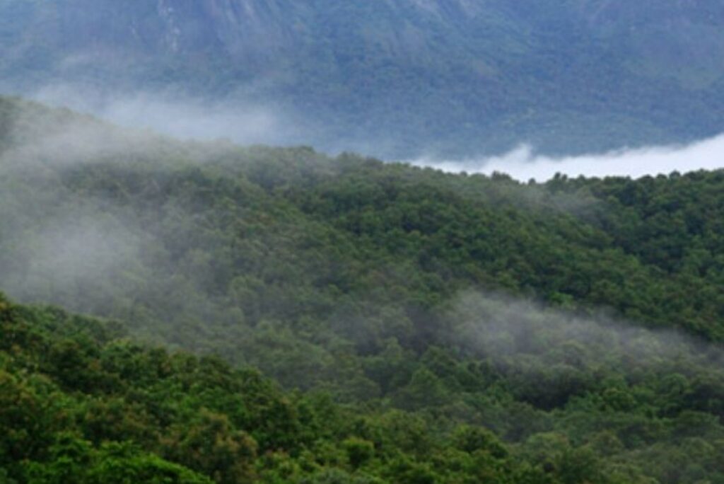 Trekking and Camping Places in Palakkad