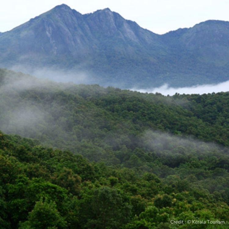 Trekking and Camping Places in Palakkad