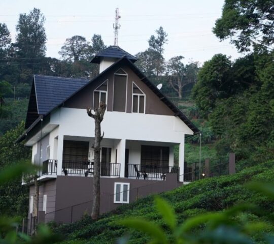 Teaberg Estate Haus Homestay in Munnar, Idukki