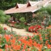 Rose Gardens Homestay