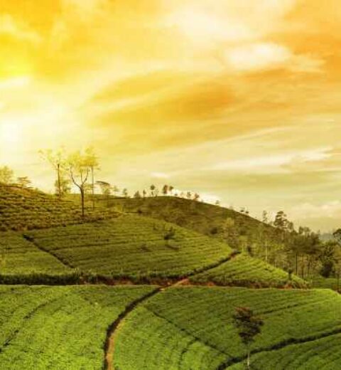 How to Get Homestay License in Tamil Nandu, India
