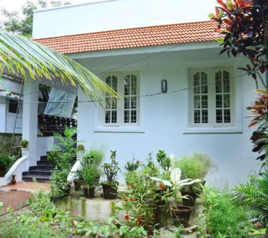 Coconut Grove Homestay in Fort Kochi, Ernakulam