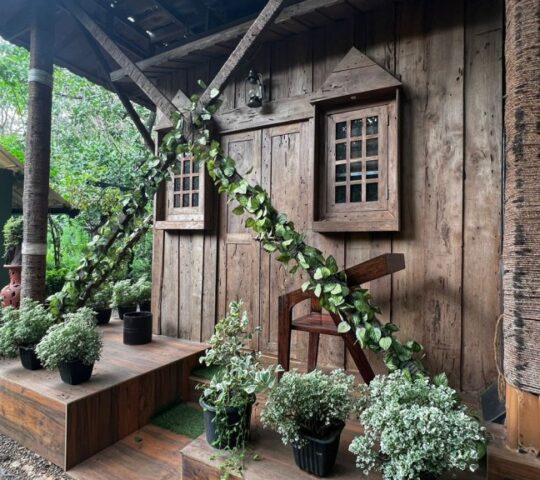 Ela Forest Homestay in Thodupuzha, Idukki
