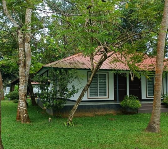 Giby Farm Homestay in Mala, Thrissur