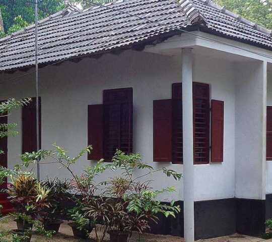 Marari Green Land Homestay in Kattoor, Alappuzha