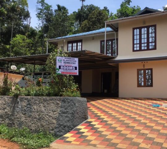 Ponmudi Plantation Homestay in Munnar, Idukki