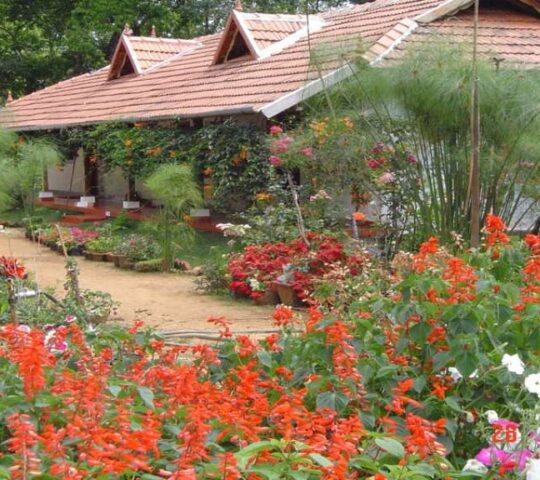 Rose Gardens Homestay in Munnar, Idukki