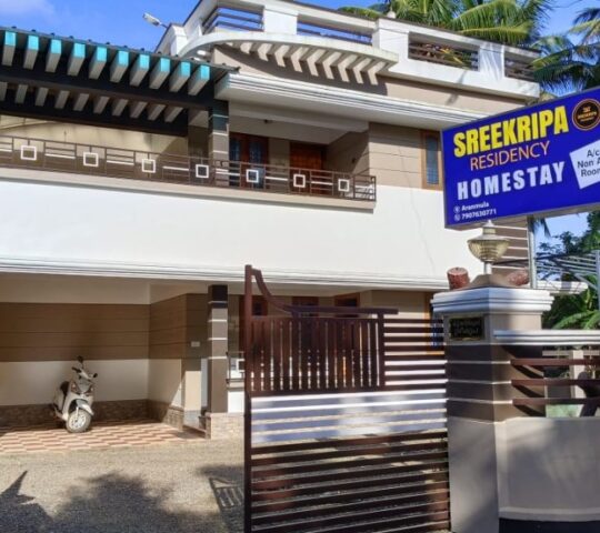 Sreekripa Residency Homestay in Aranmula, Pathanamthitta