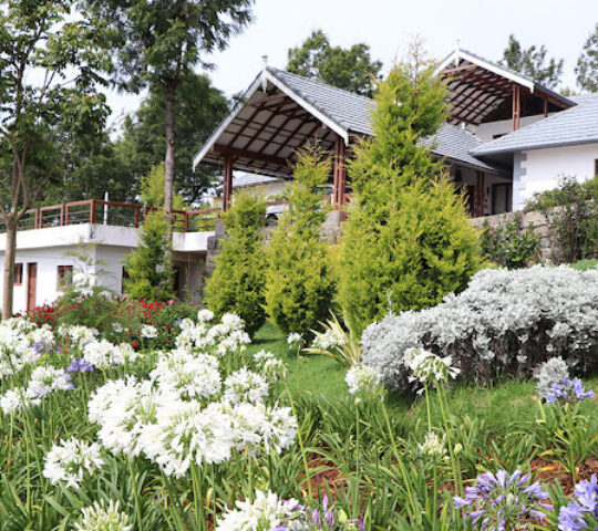Grayshott Luxury Homestay in Yedapalli, Coonoor